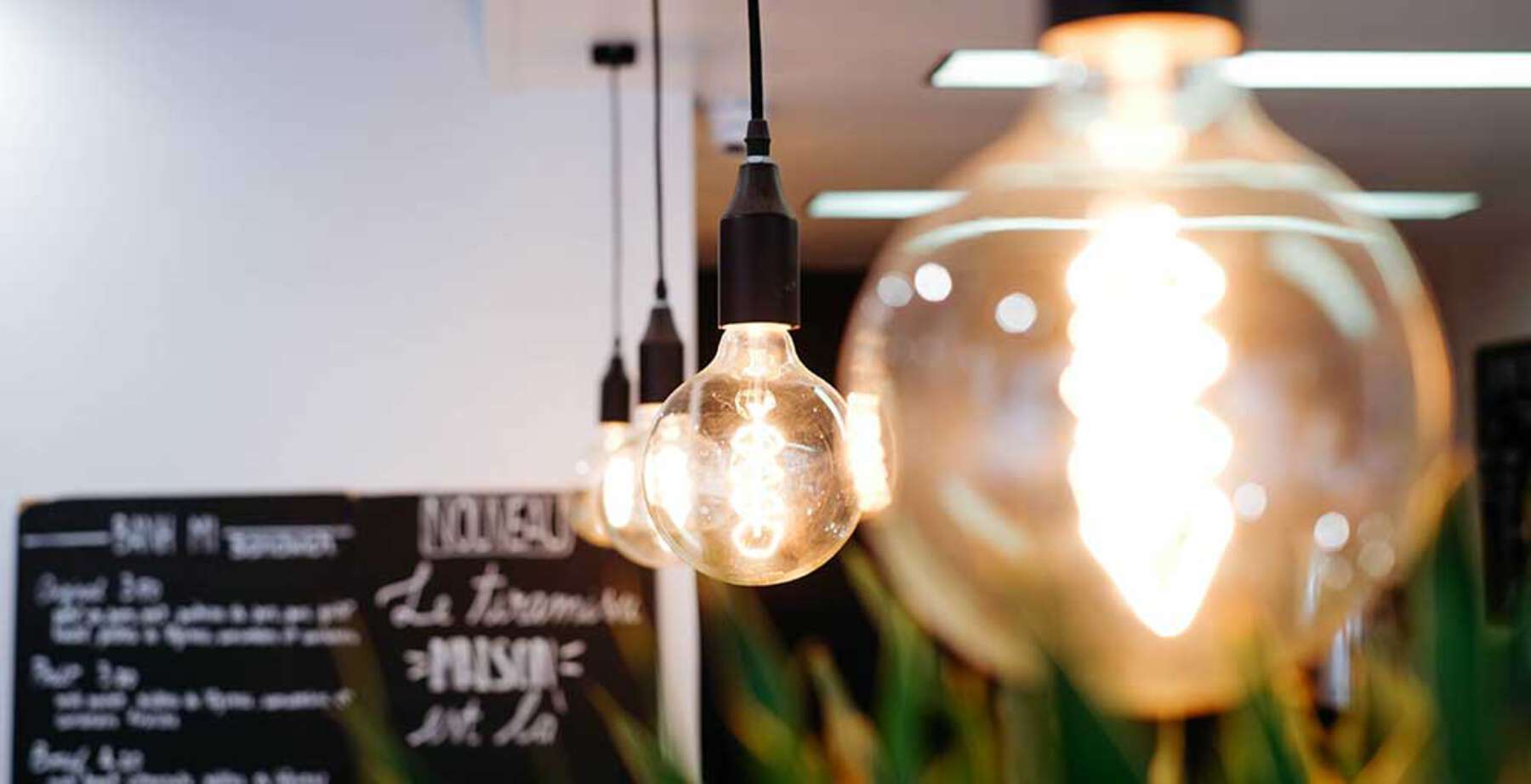 Görsel açıklaması